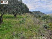 Pitsidia Süd Kreta, Pitsida Baugrundstück mit Meerblick ca.5500m² Grundstück kaufen